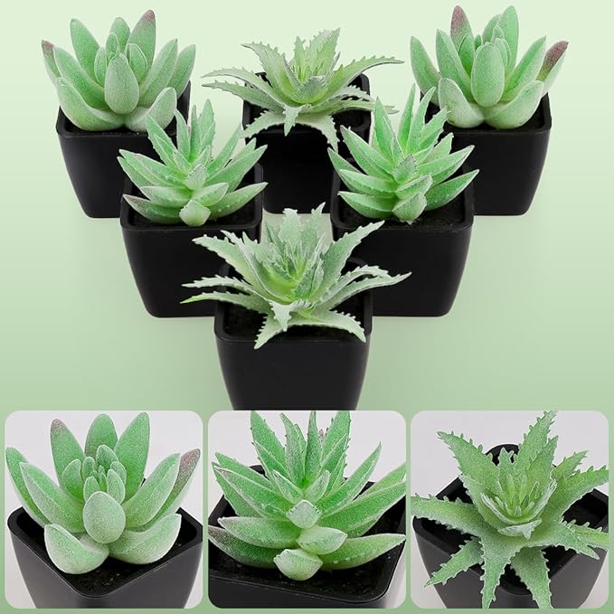 Woration 6pcs Fake Succulent Plants in Black Pots Artificial Mini Succulents Potted Green Decor Set Faux Greenery for Office Desk Table Shelf Party Decorations
