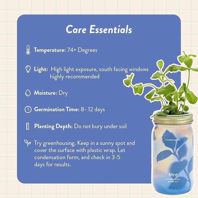 Modern Sprout Mason Garden Jar - Self-Watering Hydroponics Growing System Kit with Organic Herb Seeds - Jar Planter for Indoor Herb Garden - Seed Starter Kit - Home Decor & Gifting - Mint