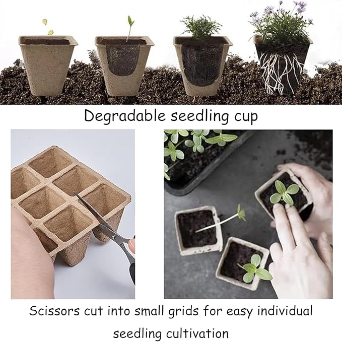 Delphinus 12 Packs Seedling Starter Trays 144 Cells, Seed Starter Trays Planting for Seedlings Biodegradable Seed Germination Trays Plant Starter Peat Pots for Seedlings