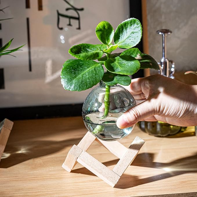 Plant Propagation Station, Plant Terrarium with Wooden Stand for Hydroponic Plant Propagation, Propagation Vases for Plants, Green Glass Bulb Vases for Home Office Decor (4)