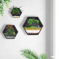 Mixed 3 Iron Honeycomb Wall Planter Indoor, Hexagon Wall Hanging Planter, Geometric Terrarium, Wall Vase Florarium, Metal Planter for Wall Decor, Hanging Terrarium (Black)