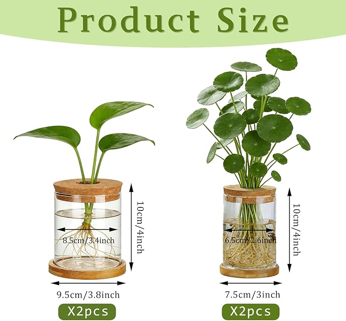 4 Set Glass Plant Propagation Station for Plants - 2 Large & 2 Small for Plant Cuttings Hydroponic Vases with Lid & Bamboo Stand Desktop Propagation Vases for Living Room, Bedroom, Office