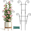 24 Inch Plant Trellis for Potted Plants Outdoor，Larger 2P Metal Garden Trellis for Climbing Plants Indoor Outdoor，Fan Shape Houseplant Monstera Trellis for Hoya Pothos Vine