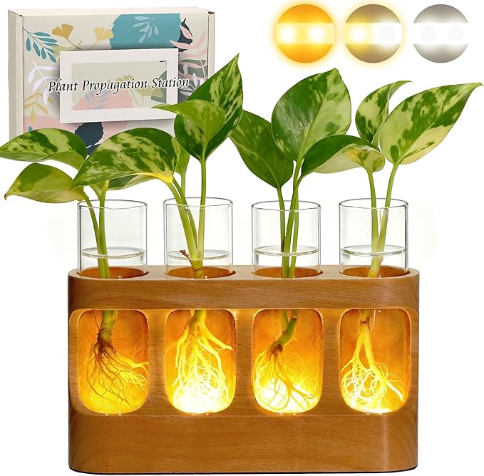 Plant Propagation Station with Wood Stand, Glass Terrarium for Hydroponics Live Plants Christmas Gifts Gardening Gifts for Women Mom 3 Lighting Modes 9 Brightness Levels Home Indoor Decor Unique