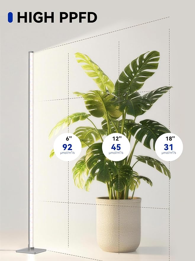 GLOWRIUM Grow Lights for Indoor Plants, 36W Vertical Plant Grow Lights with Auto-Timer, Full Spectrum LED Standing Plant Grow Light, 3 Light Modes, 6-Level Dimmable (60 in(Silver))