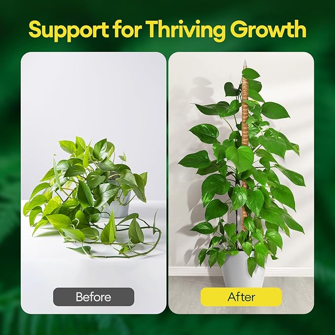 Maygrove 3-Pack 48” Bendable Moss Pole Monstera Plant Support for Climbing Indoors Plants, Coir Moss Poles Moss Sticks Plant Pole DIY, Plant Support Stake for Potted Plants