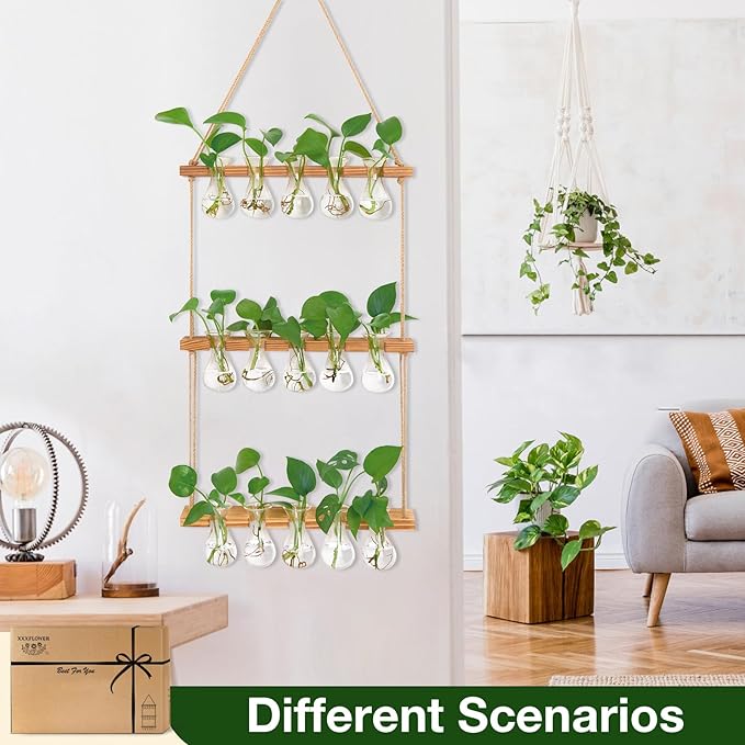 XXXFLOWER Wall Hanging Propagation Station with Wooden Stand 5 Bulb Vase 3 Tiers Planters Wall Terrarium for Home Office Plant Hanger Flower Vases Wall Decor