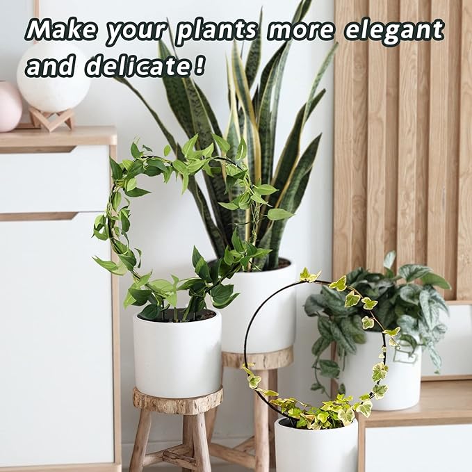 Legigo 2 Pack Black Metal Plant Trellis for Climbing Plants- 13" Iron Heart Trellis Plant Vine Stem Support Wire, Plants Climbing Holder Rack with 10 Plant Twist Tie for Potted Plants Flowers Indoor