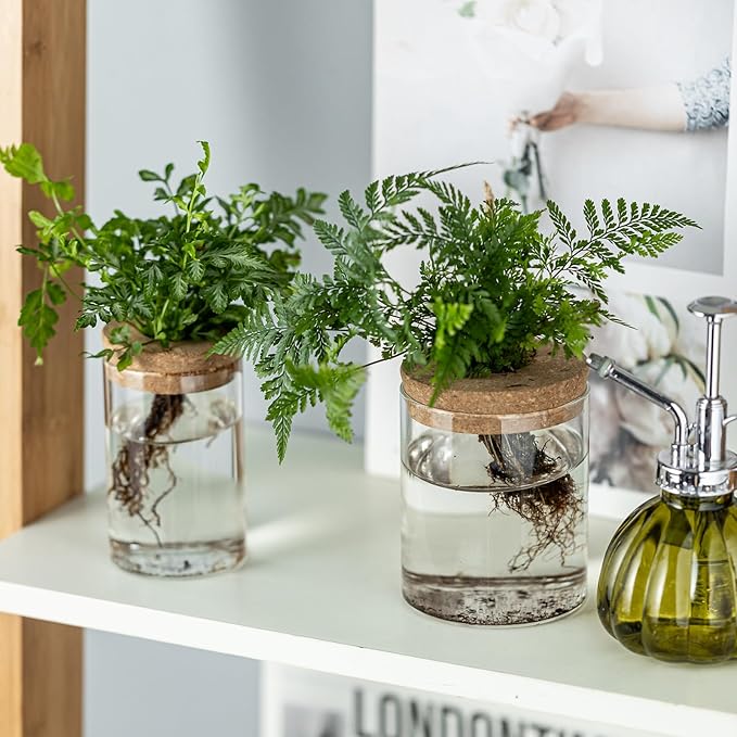 Plant Propagation Stations for Plants, 2 Size Glass Propagation Vases for Propagating Hydroponic Indoor Home Office Decor, Tabletop Glass Planter Gift for Plant Lovers (6)