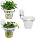 3 Pcs Window Propagation Stations Plastic Wall Hanging Planter with Suction Cup Holder Window Mounted Plant for Hydroponics Plants, Home, Office, Bathroom, Living Room Decor and Any Smooth Surface