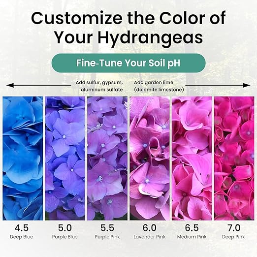 Soil pH Test Kit (3-9 Range) – 100 Test Strips for Garden, Lawn, Vegetable & Flower Beds | Quick & Easy Soil pH Monitoring for Indoor & Outdoor Plants | Leaping Lynx