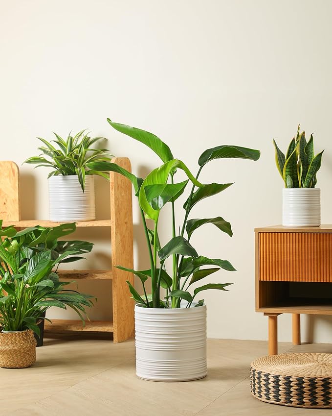 Ceramic Pots for Plants, 10+8+6 Inch White Planter with Drainage, Modern Striped Indoor/Outdoor Flower Pots for Succulents, Herbs, Home Office & Patio - Includes Mesh Pads & Saucer, Set of 3 ﻿