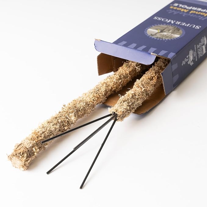 SuperMoss (22064) Bendable Moss Poles, Monstera Climbing Plant Support Stakes, 36", Blonde, 2pk