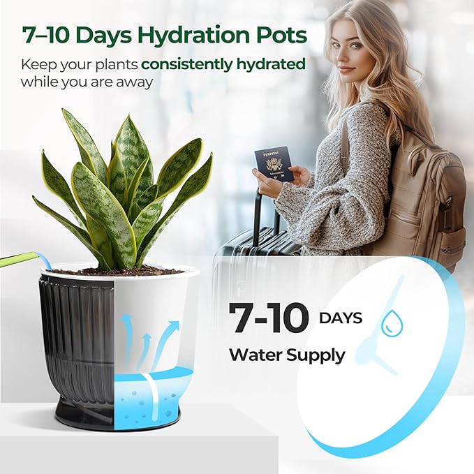 T4U 6 Inch Self Watering Pots for Indoor Plants, 4 Pack Self Watering Planter, Self Watering Pot with Reservoir, Small Self Watering Pots for Plants, African Violets (4 Pack, 6", Translucent Gray)