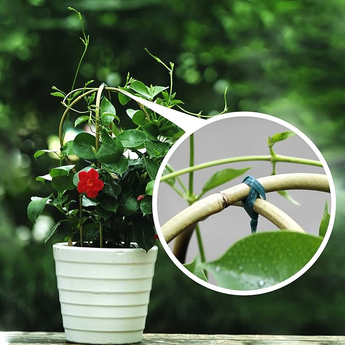 Cambaverd Plant Trellis Indoor 16in, Loop-Shaped Bamboo Trellis - 3 Pack for Climbing Plants, Hoya, Potted Plants