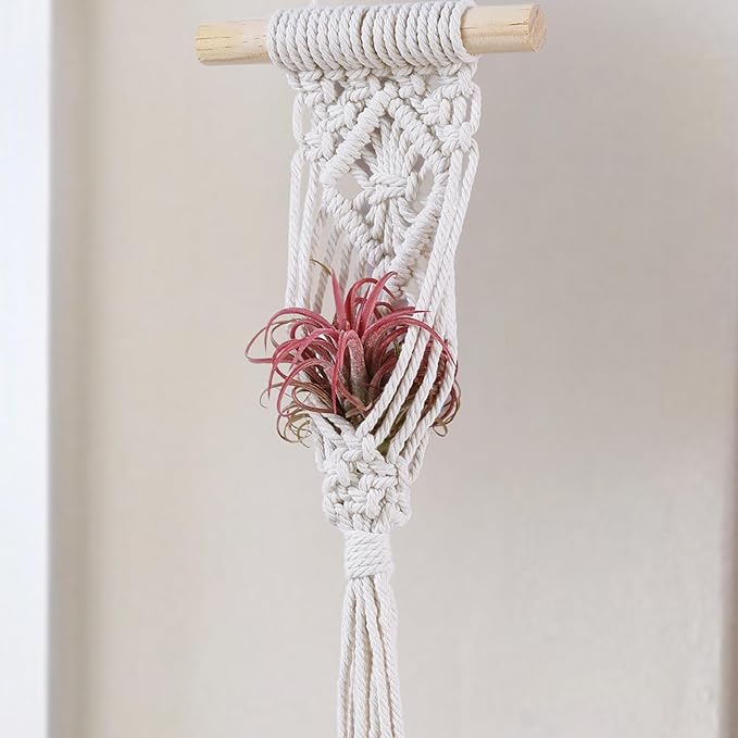 4 Pack Air Plants Holders, Wall Planters for Indoor Plants | Macrame Plant Hanger, Air Plant Hanger for Air Fern, Tillandsias, Live Houseplants & Succulent (NO Plant Included)