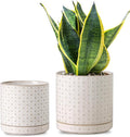 Plant Pots, 5+6 inch Planters Set of 2, Ceramic Pot for Indoor Plants with Drainage Hole and Saucer, Small Flower Pot for Succulent, White
