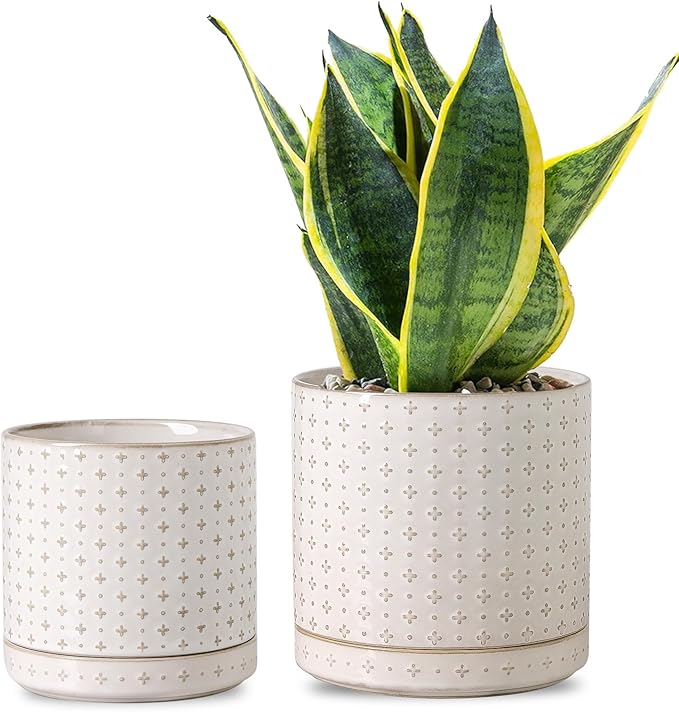 Plant Pots, 5+6 inch Planters Set of 2, Ceramic Pot for Indoor Plants with Drainage Hole and Saucer, Small Flower Pot for Succulent, White