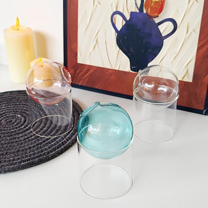 3-Pack Glass Hydroponics Vase Set | Unique Plant Propagation Station with Removable Base, Cute Flower Vase & Mini Terrarium for Plants