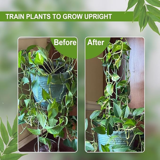 Plant Support Stakes for Indoor Plants, Trellis for House Potted Plants Flower, Monstera Support Sticks with Orchid Clips, Twist Ties(2 Pack Green)