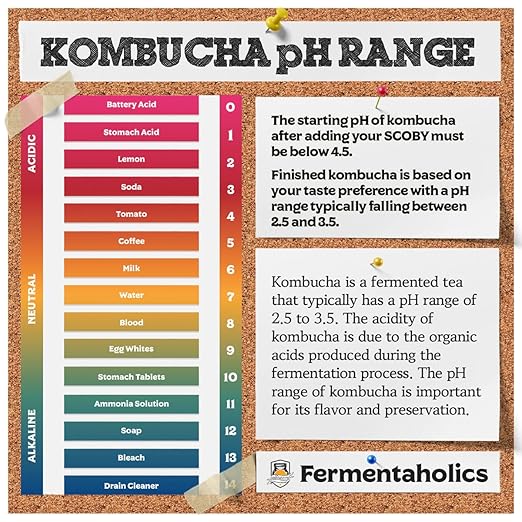 Fermentaholics Kombucha & Fermentation pH Test Strips – Instant Read pH Strips Dispenser for Brewing & Fermentation, pH Range 0–6