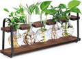 THYGIFTREE Plant Propagation Stations with Wooden Stand, Desktop Retro Plant Terrarium Bulb Vase for Indoor Hydroponic Flowers, Tabletop Glass Planter Housewarming Gifts for Plant Lovers