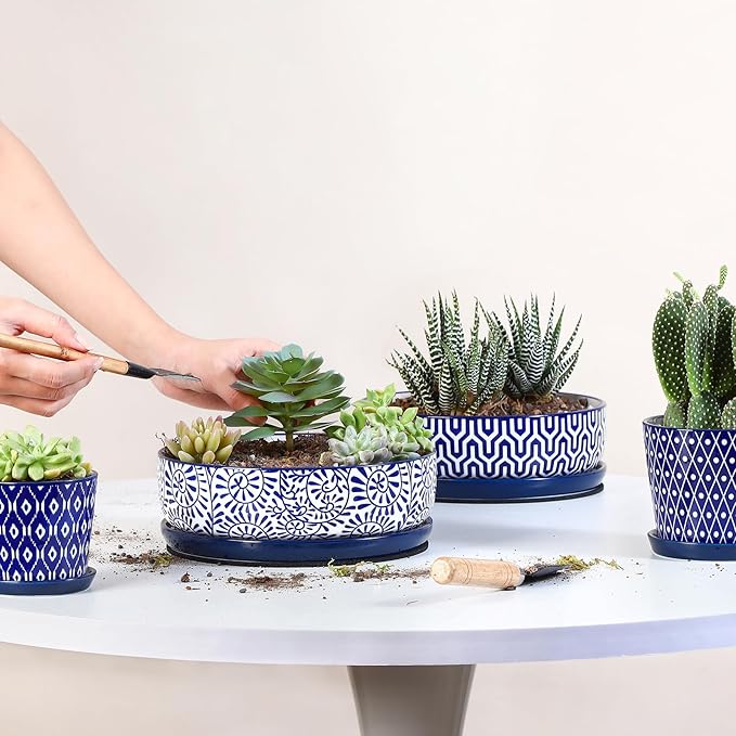 Selamica Ceramic Succulent Pots, Shallow Succulent Planters with Drainage Hole & Saucer, Indoor Plant Pots for Cactus, Home Decor，Vintage Blue, 8 inch，Set of 2