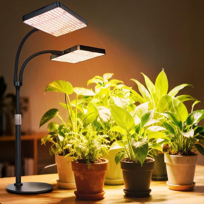 2026 2Head Desk Grow Light, Big Coverage Tabletop Grow Lights for Indoor Plants, Bonsai, Seed Starting, 4/8/12/16/20H Timer, 50 Watt Power Draw, NO Need Adapter, 16"-24" Height Adjustable