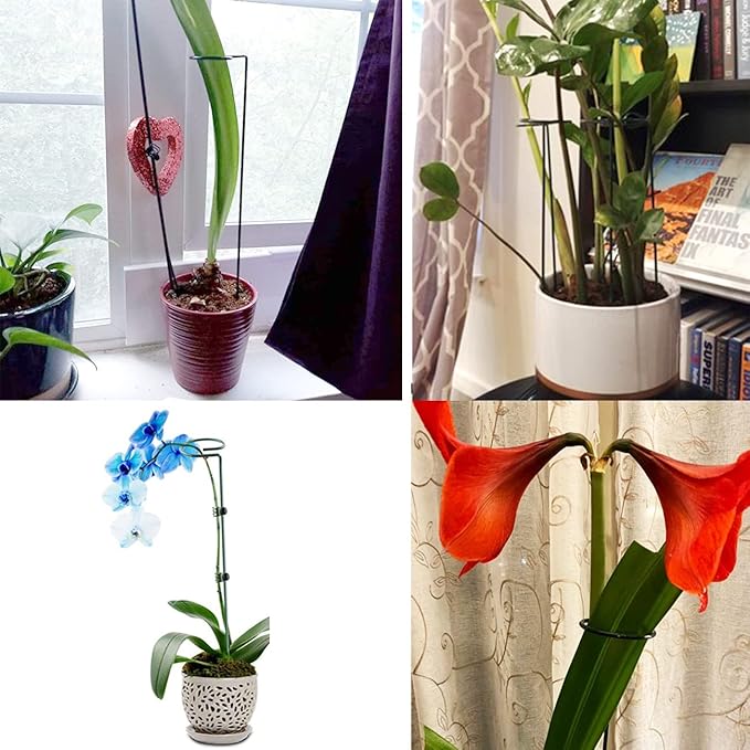 SUNYAY 10 pcs 8 inch Metal Single Stem Flower Plant Support Stakes and Rings for Amaryllis Orchid Lily Sunflower Rose Narcissus