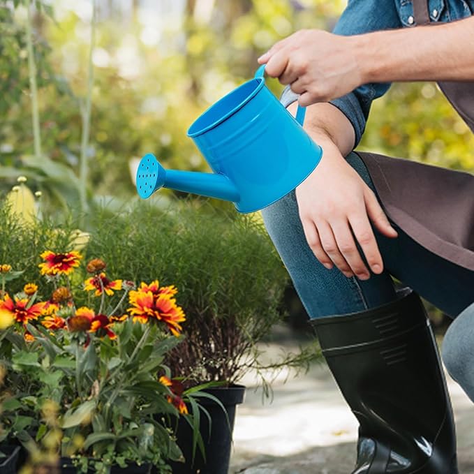 1.6L Watering Can for Indoor Outdoor Plants, Modern Small Watering Cans, Metal Flower Watering Can, Long Spout Watering Can-Colorful Plant Waterer for Indoor Bonsai Plants Garden Flowers (Blue)