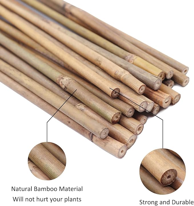 GAGINANG Plant Stakes Natural Garden Bamboo Sticks for Indoor and Outdoor, 20pcs for Tomatoes, Beans, Potted Plants - 18 inches
