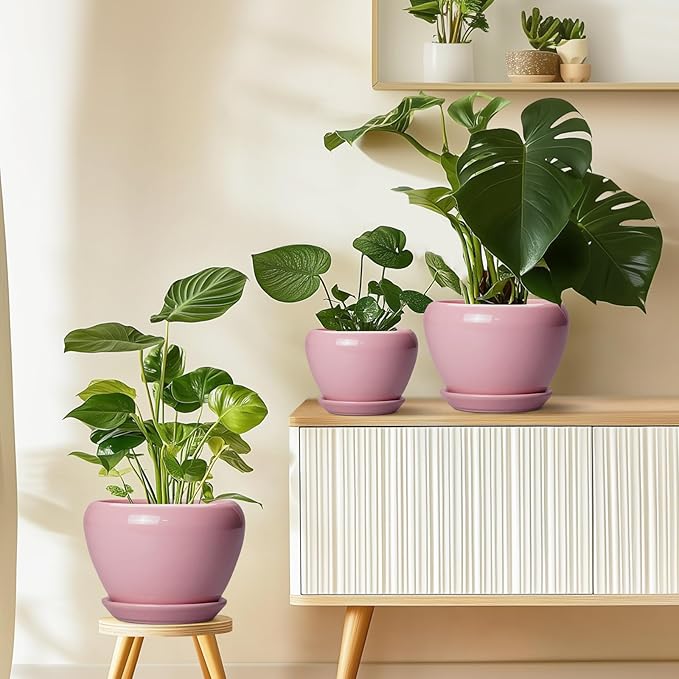Ceramicfor 6 Inch Plant Pot - Ceramic Pot for Indoor Plants, Glaze Modern Decorative Round Ceramic Planter with Drainage Hole and Saucer, Plant Lover Gifts, Home Garden Room Office Decor, Pink