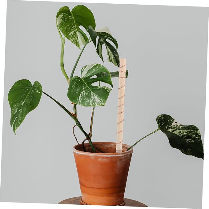BESPORTBLE 4pcs Copper Wire Garden Antenna Stakes for Plant Support Copper Wire Coils with Winding Tool for Gardening for and Vines