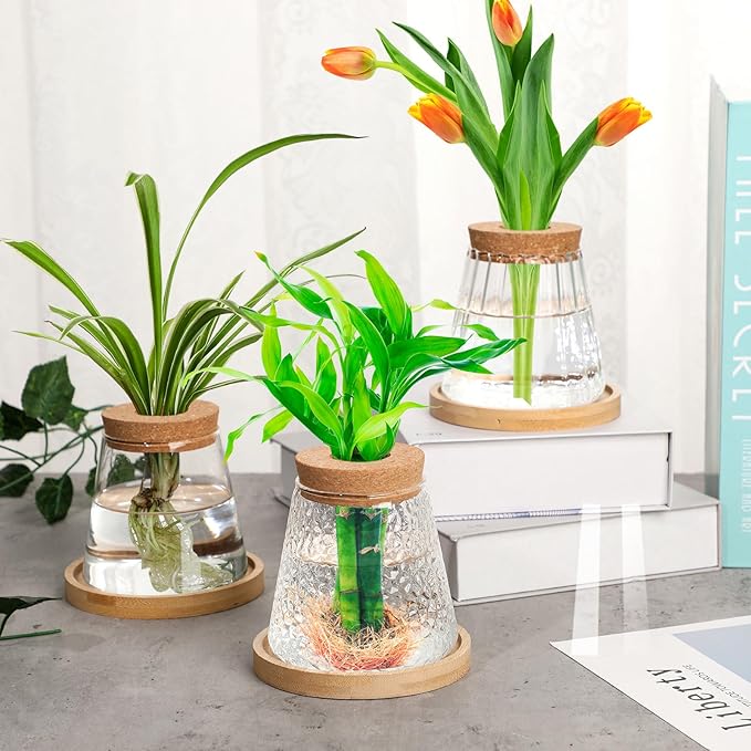 Beeveer 6 Pcs Plants Propagation Station Separated Desktop Plant Terrarium with Wood Lid and Stand, 3 Sizes Glass Planter Propagated Jars Propagation Vases for Indoor Home (Cute Style)