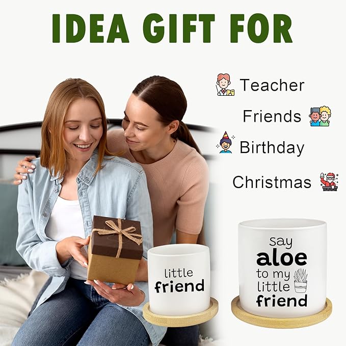 Say Aloe to My Little Friend Funny Succulents Plant Pots, Ceramic Cactus Planter Pot with Bamboo Tray for Indoor Outdoor, Aloe Pot for Plant Lover Friends Housewarming Gift, Set of 2 (No Plants)