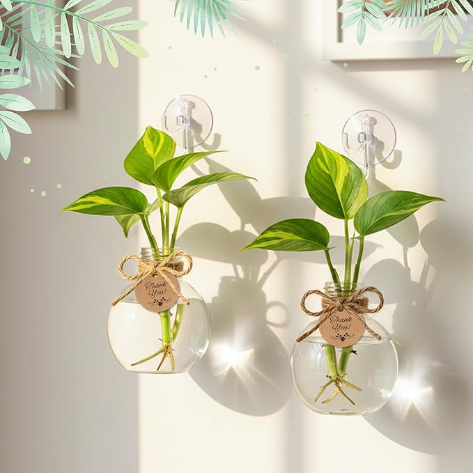 Plastic Window Propagation Stations - 9 Pack Hanging Plant Propagation Vases Clear Jars with Hook Thank You Tag Cleaning Brush for Women Plant Lover Garden Home Office Decor Housewarming Gifts