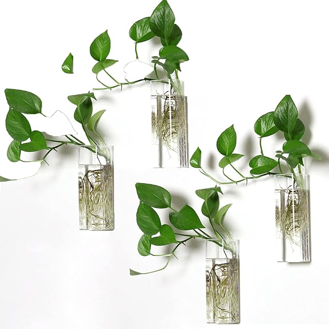 4 Pack Wall Hanging Planters Glass Terrariums - Rectangle Shape Plants Holders Flowers Glass Wall Vase Containers for Plant, Decoration and Display
