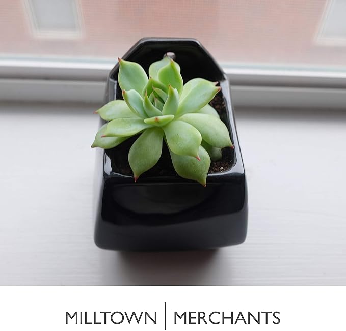 Succulent Wall Planter - Wall Vase - Black Ceramic Wall Mounted Planter - Succulent Plant Pot - Hanging Vase for Living Wall (1 Pack/Contemporary/Black)