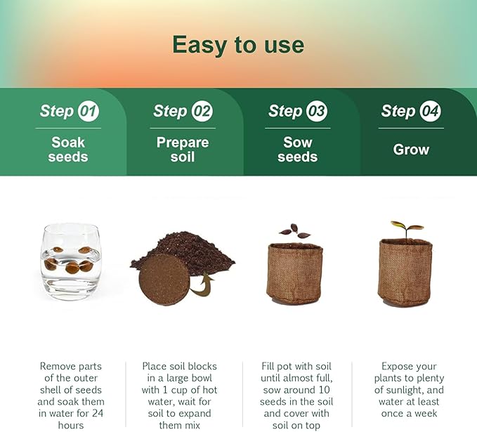 5 Pack Bonsai Tree Kit with Complete Tools, 5X Unique Seeds Bonzai Tree Live Kits, Complete Indoor Bonsai Starter Kit with Wooden Box, Perfect Christmas Garden Gift for Mom, Men, Women, Plant Lover
