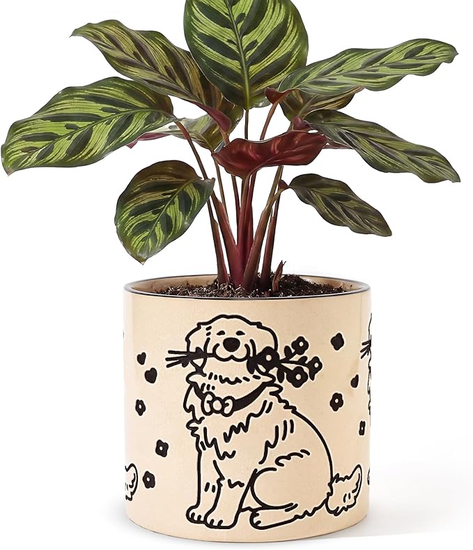 STHIE Indoor Plant Pot 5 Inch - Round Ceramic Planter with Drainage Hole, Hand-Painted Cute Flower Pot for Desktop Office Windowsill, Dog Lover Gift (Resting Dog)