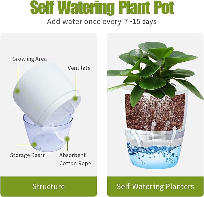 Oliz 6 Inch Self Watering Plastic Plant Pots for Indoor Plants - 3 Pack White Orchid Planters with Wick Ropes & Drainage Holes, Modern Decorative Garden Pots with Water Reservoir
