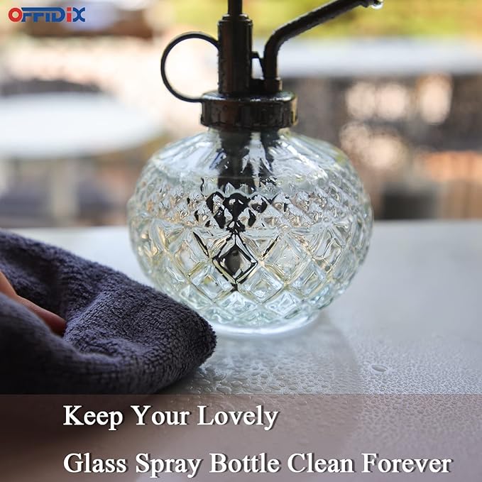 OFFIDIX Glass Plant Mister,Small Plant Spray Bottle with Plastic Top Pump for houst Plant