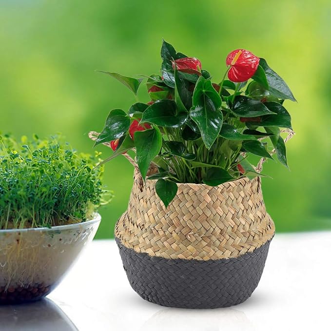 2PCS Large Seagrass Belly Basket Planter Woven Rattan Wicker Plant Pot Round Boho Decorative Wicker Planter for Home Decor(Black)