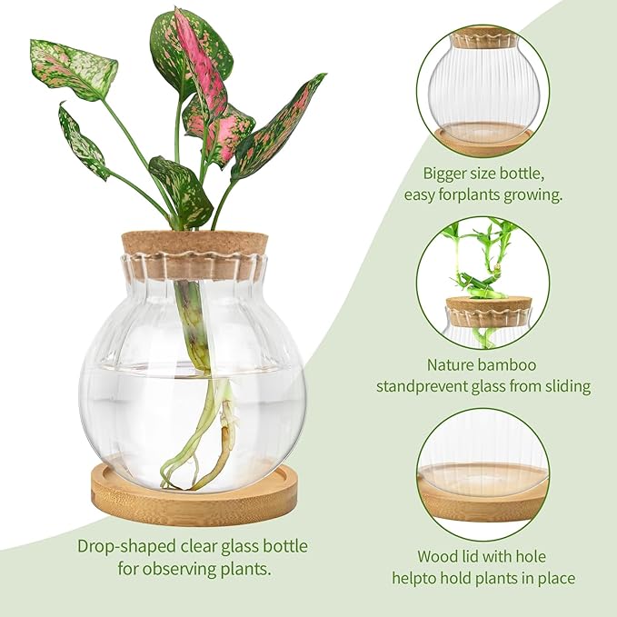 Plant Propagation Station, Water Planting for Plants with Tray & Wooden Saucer, Hydroponics Plants Jars Home Office Desktop Decor, Glass Planters for Indoor Hydroponic Decor