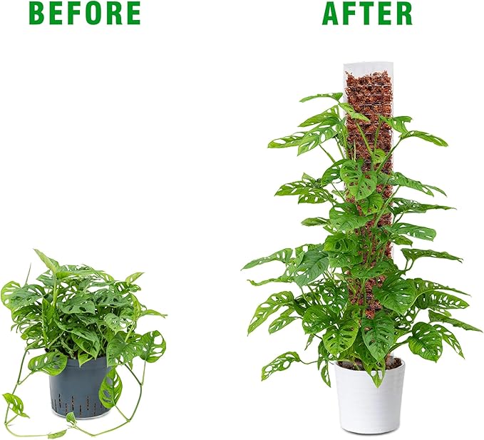 Bonviee 4-Pack 15-Inch Plastic Moss Poles for Monstera & Climbing Plants - Stackable to 60 Inches, Includes Sphagnum Moss & Garden Ties for Indoor Plant Support