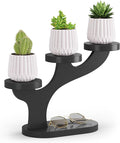 Bamboo Tabletop Plant Stand Indoor, 3 Tier Wood Desktop Small Plant Shelf Window Sill Flower Holder Mini Tiered Plant Display Rack for Patio Balcony Living Room Decor (black)