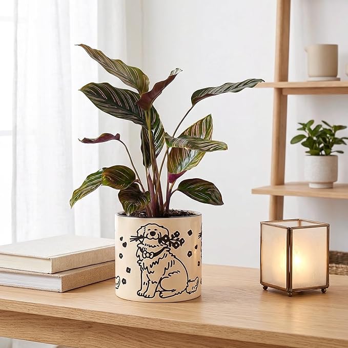 STHIE Indoor Plant Pot 5 Inch - Round Ceramic Planter with Drainage Hole, Hand-Painted Cute Flower Pot for Desktop Office Windowsill, Dog Lover Gift (Resting Dog)