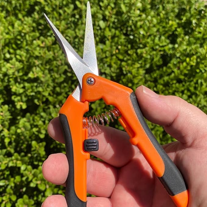 15 PCS 6.5 inch Garden Trimming Scissors, Gardening Hand Pruners with Straight Stainless Steel Precision Blades, Pruning Shears for Flowers Branches Precise Cuts, Orange