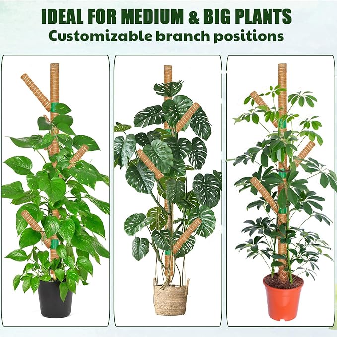 Moss Pole for Monstera Plant Support, 3 Pack 15.7'' Stackable Moss Poles for Climbing Plants, Indoor Garden Coco Coir Poles for Monstera Deliciosa, Pothos, Philodendron (15.7In x 3Pack)