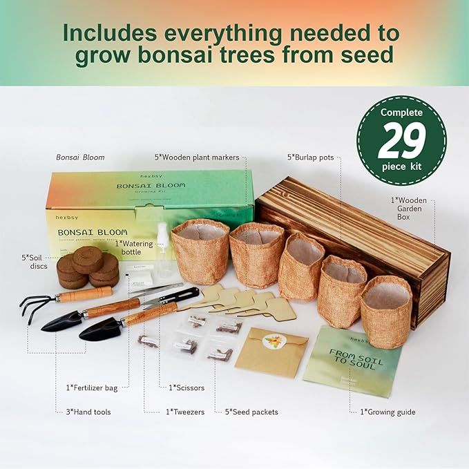Herbsy Bonsai Tree Kit, Indoor Live House Plants Starter Kits, Mothers Day, Birthday Gifts for Women, Men, Gardening Lovers, Complete Bonzai Tree Growing Set